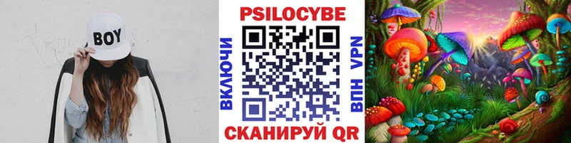 Псилоцибиновые грибы мицелий  Лабытнанги 